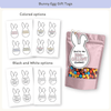 Spring and Easter Classroom Activities & Crafts - Miss Jacobs Little Learners