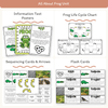Spring Science Thematic Unit Bundle - Printable Activities & Worksheets - Miss Jacobs Little Learners