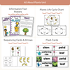 Spring Science Thematic Unit Bundle - Printable Activities & Worksheets - Miss Jacobs Little Learners
