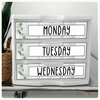 Sterilite Drawer Labels - Modern Botanical Decor - Miss Jacobs Little Learners
