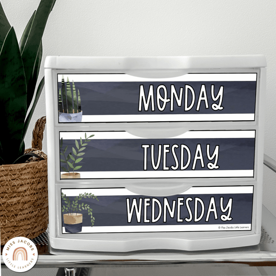 Sterilite Labels | Editable 3 Drawer Labels | Rustic Boho Plants - Miss Jacobs Little Learners