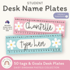 Student Desk Name Plates - Daisy Gingham Pastels Decor - Miss Jacobs Little Learners