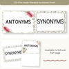Synonym and Antonym Posters - Australiana English Decor - Miss Jacobs Little Learners