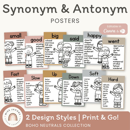 Synonym and Antonym Posters - Boho Neutrals English Decor