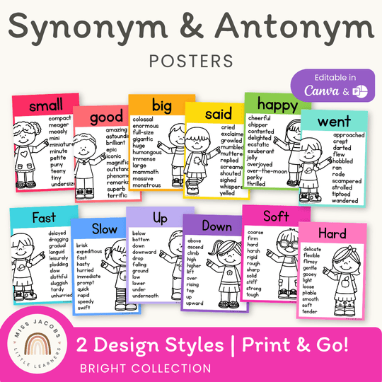 Synonym and Antonym Posters - Bright English Decor