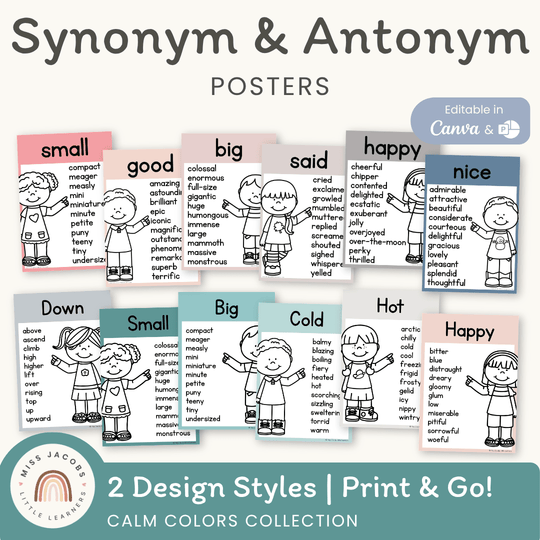 Synonym and Antonym Posters - Calm Colors English Decor