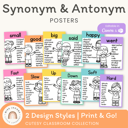 Synonym and Antonym Posters - Cutesy English Decor