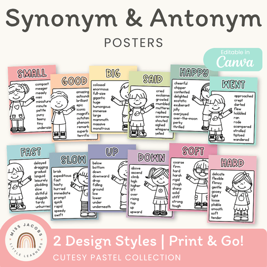 Synonym and Antonym Posters - Cutesy Pastel English Decor