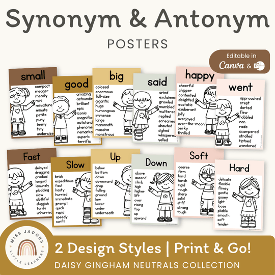 Synonym and Antonym Posters - Daisy Gingham Neutrals English Decor