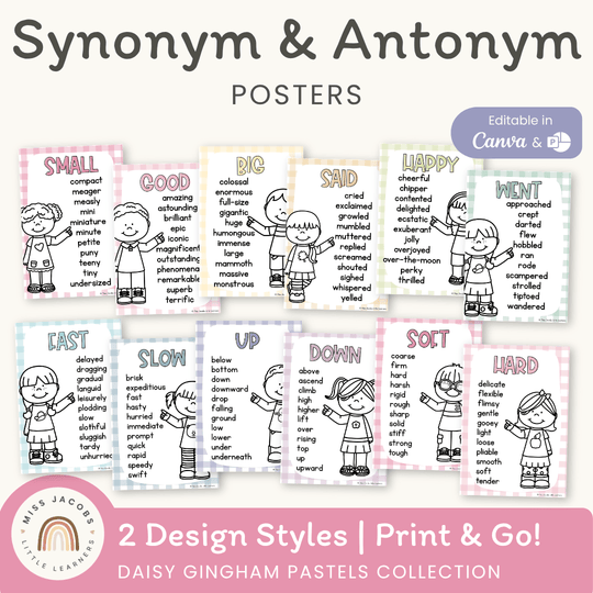 Synonym and Antonym Posters - Daisy Gingham Pastels English Decor