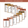 Synonym and Antonym Posters - Desert Neutrals English Decor - Miss Jacobs Little Learners