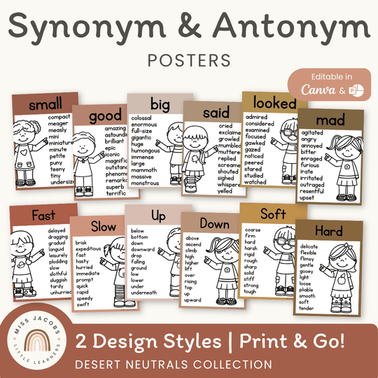 Synonym and Antonym Posters - Desert Neutrals English Decor