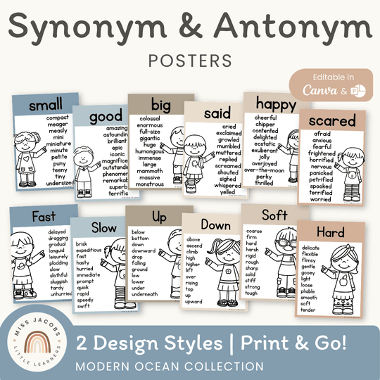 Synonym and Antonym Posters - Modern Ocean English Decor