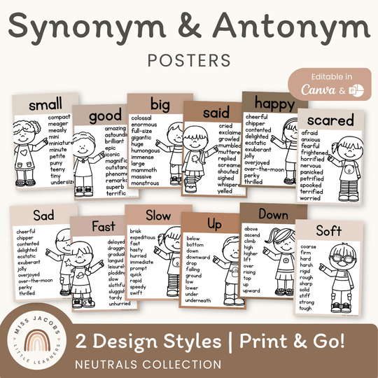 Synonym and Antonym Posters - Neutrals English Decor