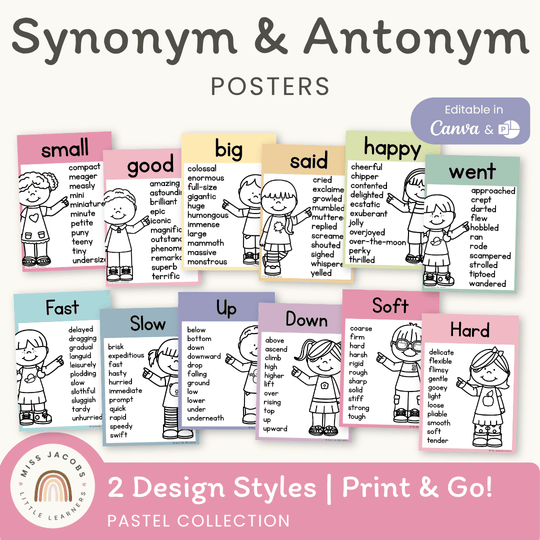 Synonym and Antonym Posters - Pastel English Decor