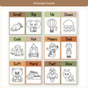 Synonym and Antonym Posters - Woodland English Decor - Miss Jacobs Little Learners