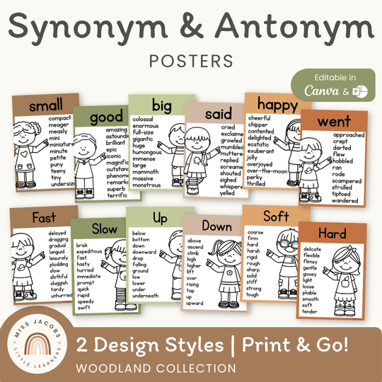 Synonym and Antonym Posters - Woodland English Decor