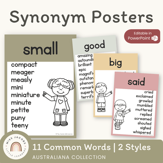 Synonym Posters - Australiana Classroom Decor
