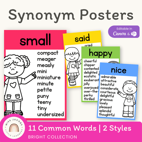 Synonym Posters - Bright Theme