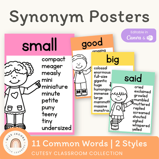 Synonym Posters - Cutesy Classroom Decor