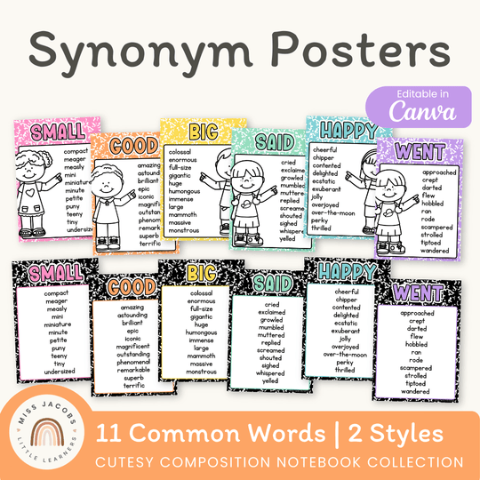 Synonym Posters - Cutesy Composition Notebook English Decor