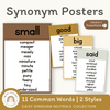 Synonym Posters - Daisy Gingham Neutrals Decor - Miss Jacobs Little Learners