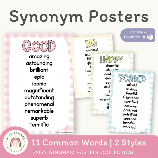 Synonym Posters - Daisy Gingham Pastels Theme