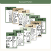 Synonym Posters - Modern Botanical Classroom Decor - Miss Jacobs Little Learners