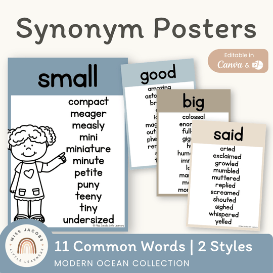 Synonym Posters - Modern Ocean Classroom Decor