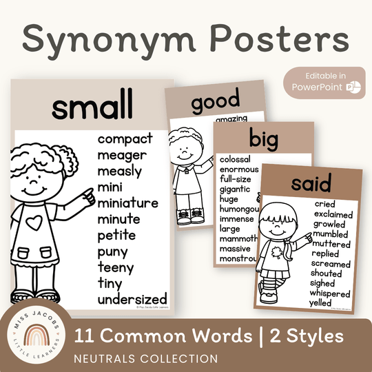Synonym Posters | Ombre Neutral English Classroom Decor