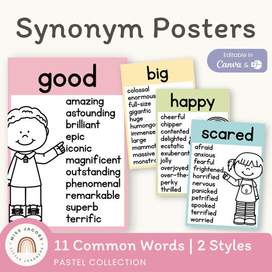 Synonym Posters  - Pastel Classroom Theme