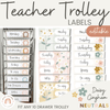 Teacher Trolley Labels | 10 Drawer Cart Labels | Daisy Gingham Theme - Miss Jacobs Little Learners