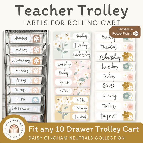Teacher Trolley Labels for Rolling Cart - Daisy Gingham Neutrals