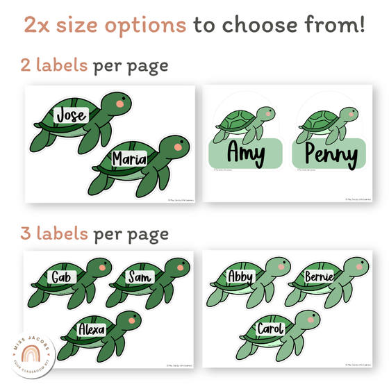 Turtle Display Classroom Turtle Door Display Classroom Decor - Miss Jacobs – Miss Jacobs Little ...