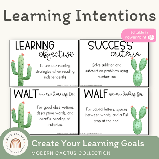 Visible Learning Display | Cactus Theme