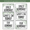 Visual Timetable Daily Schedule - Modern Botanical Classroom Decor - Miss Jacobs Little Learners