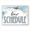Visual Timetable Daily Schedule - Modern Ocean Classroom Decor - Miss Jacobs Little Learners
