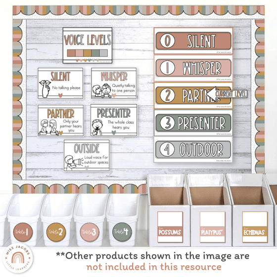 Voice Level Display | SIMPLE BOHO Classroom Decor - Miss Jacobs Little Learners