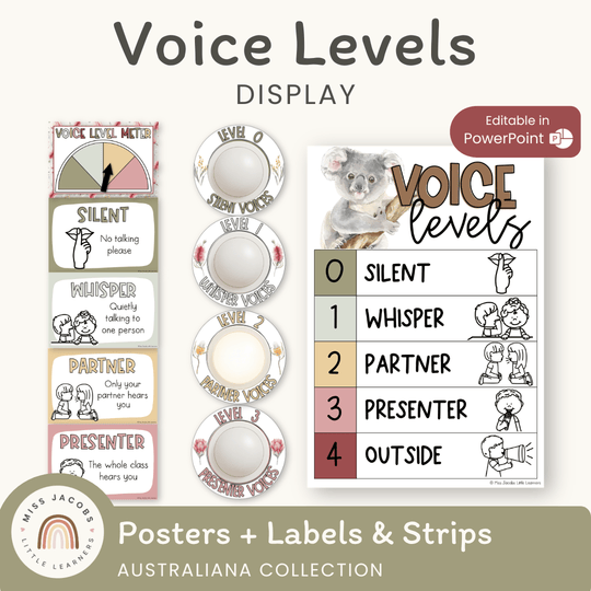 Voice Levels Chart - Australiana Classroom Decor