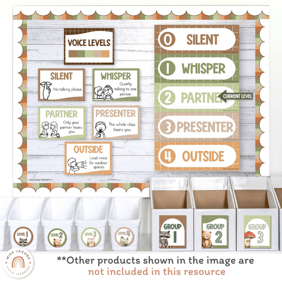 Voice Levels Chart - Woodland Theme Classroom Decor - Miss Jacobs Little Learners