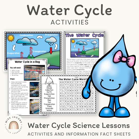 Water Cycle Mini Unit - Posters, Worksheets & Activities