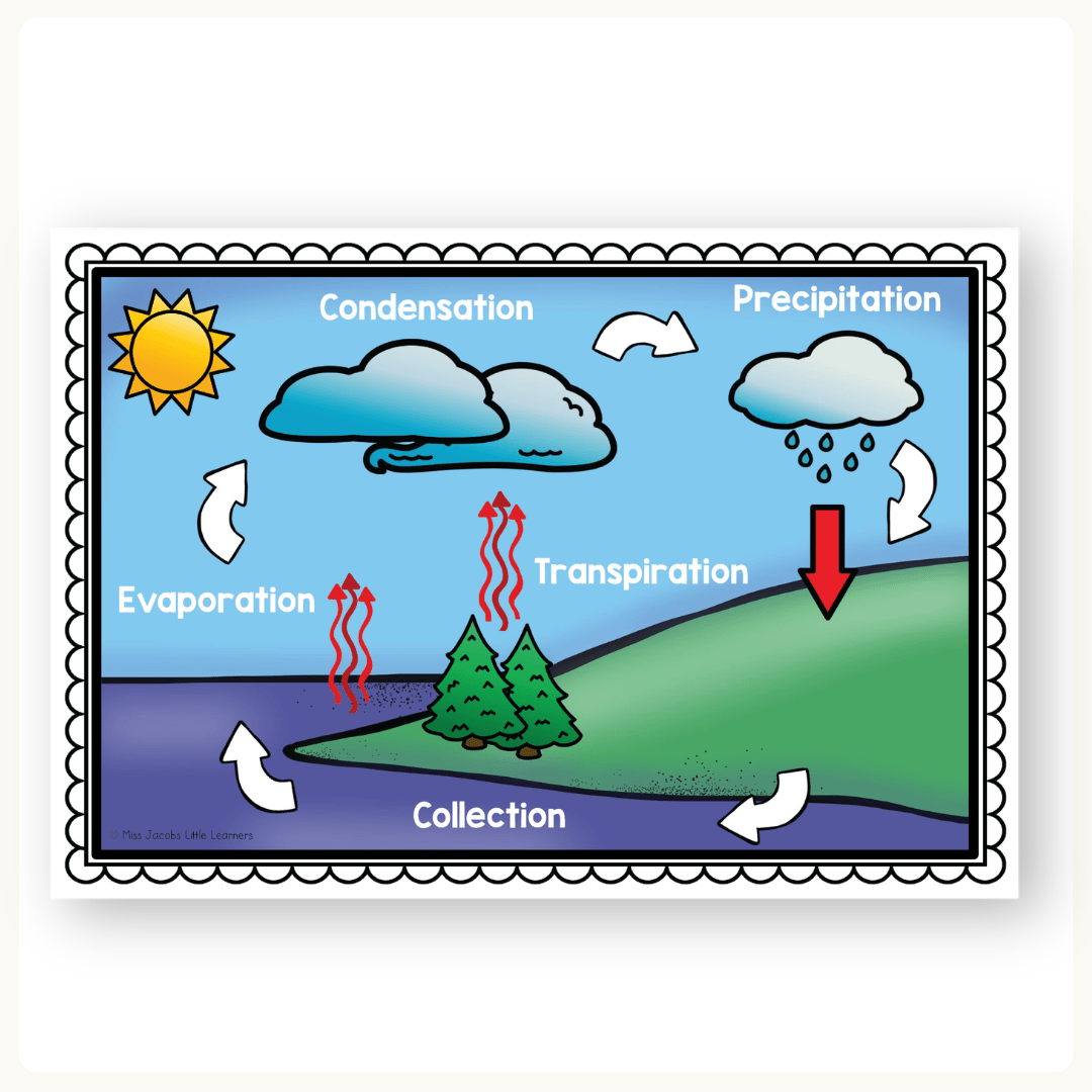 Water Cycle Mini Unit - Posters, Worksheets & Activities - MJLL – Miss ...