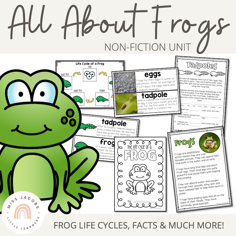 FREE Printable Preschool Frog Life Cycle Flip Book