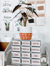 Boho Plants Classroom Decor Bundle | Rustic Modern Boho Decor | Editable - Miss Jacobs Little Learners