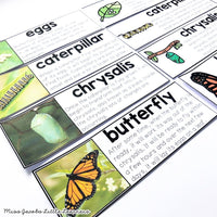 Butterflies and Caterpillars Unit - Living Things and Life Cycles ...