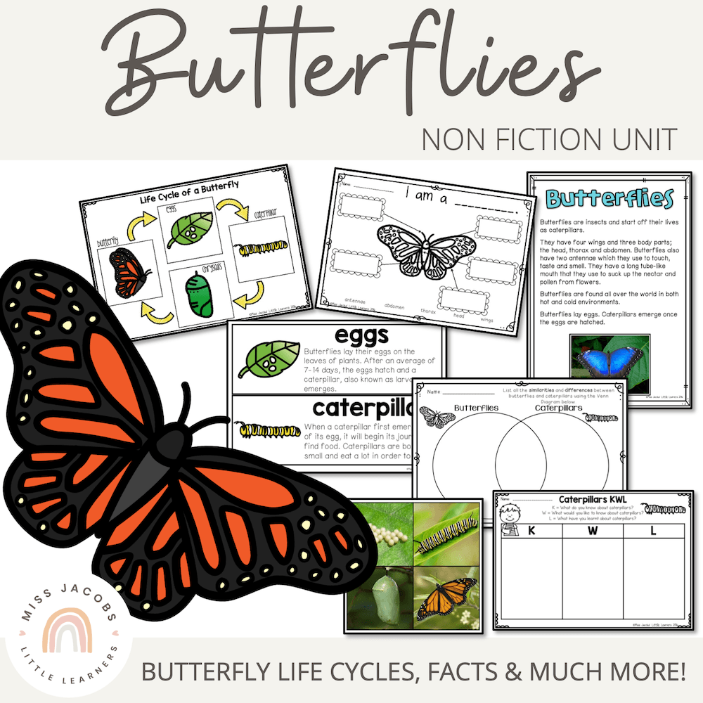 Butterflies and Caterpillars Unit - Living Things and Life Cycles - Miss  Jacobs Little Learners