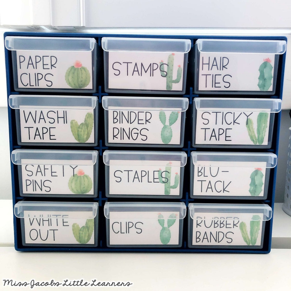 Modern Cactus Classroom Decor - Succulent Theme - Miss Jacobs – Miss ...