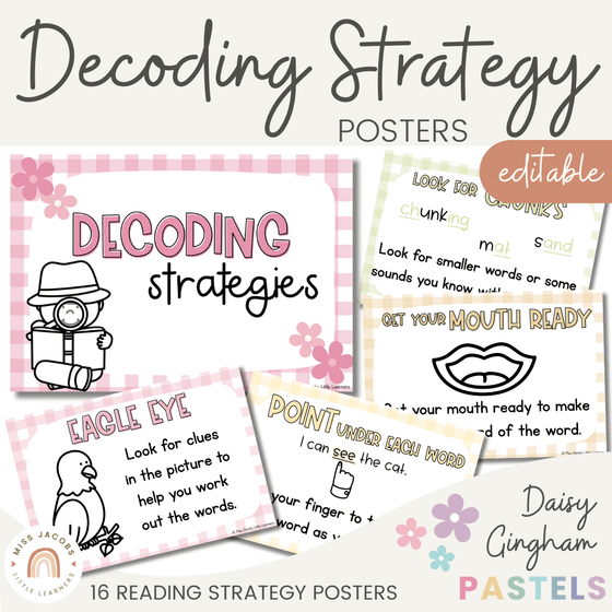 Daisy Gingham Pastels Decoding Reading Strategies Posters - Miss Jacobs Little Learners