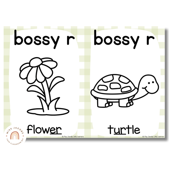 Daisy Gingham Pastels Phonics Posters - Miss Jacobs Little Learners