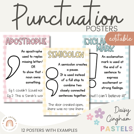 Punctuation Posters - Daisy Gingham Pastels Theme